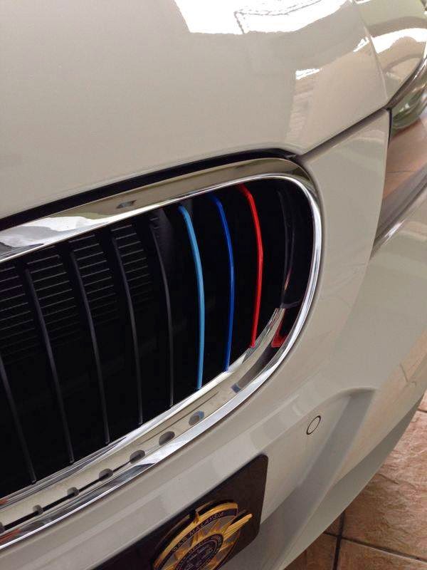HORCH MOTORSPORTS BMW M Colored Kidney Grille Stripe Decals