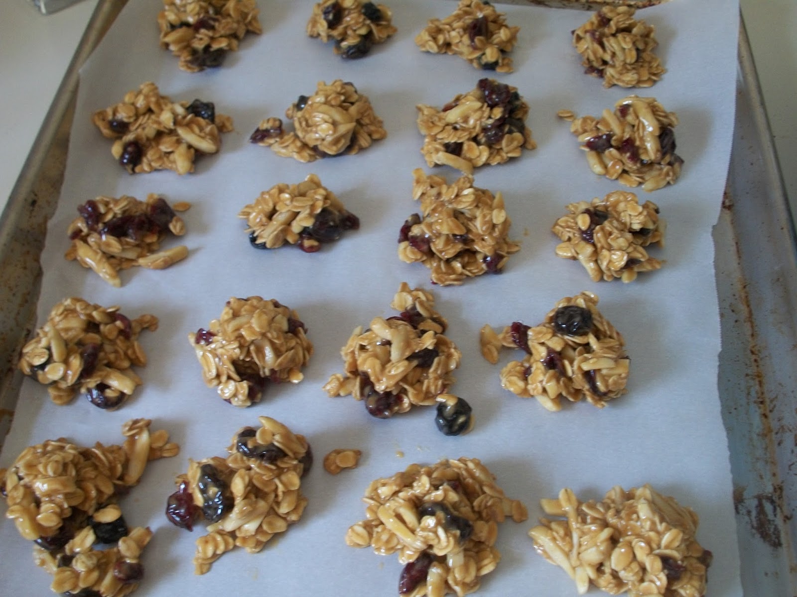 The Edible Givens Granola Clusters