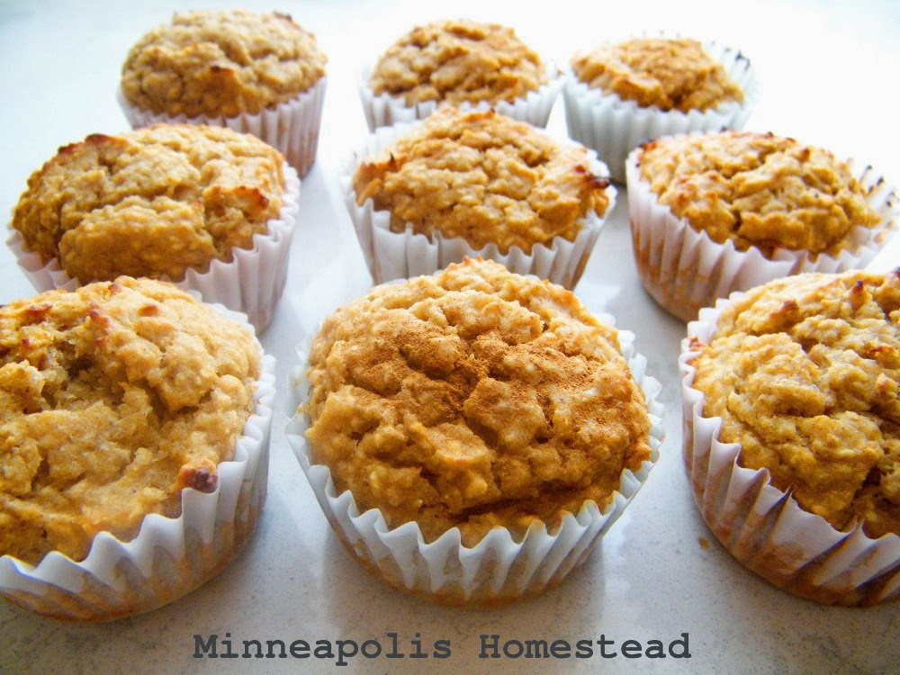 Healthy Pumpkin Muffins Low Sugar and Fat,High Protein and Fiber