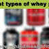 different types of whey protein hindi