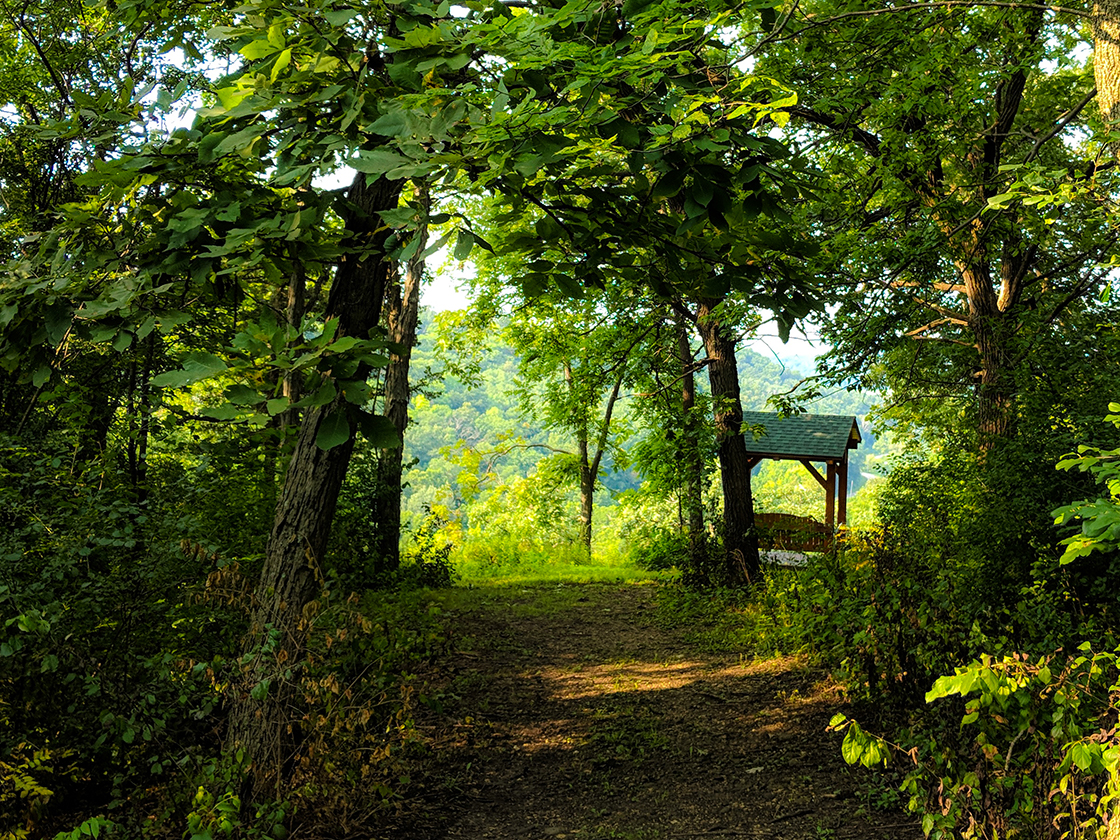 Hiking Morton Forest County Park