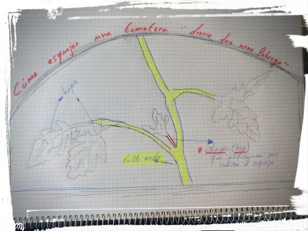 Imagen 0