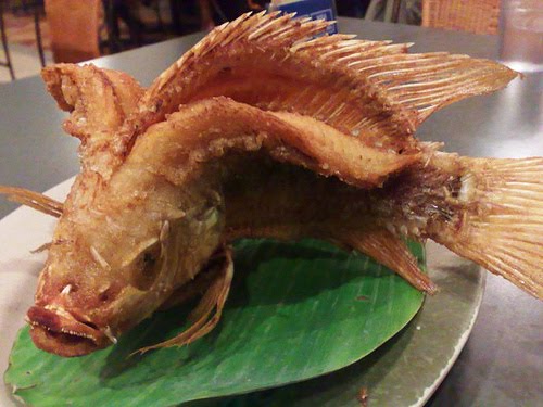 Suruh Pembantu Goreng Ikan Segar, Majikan ini Benar-Benar Kaget Saat Ikan Disajikan Suruh Pembantu Goreng Ikan Segar, Majikan ini Benar-Benar Kaget Saat Ikan Disajikan