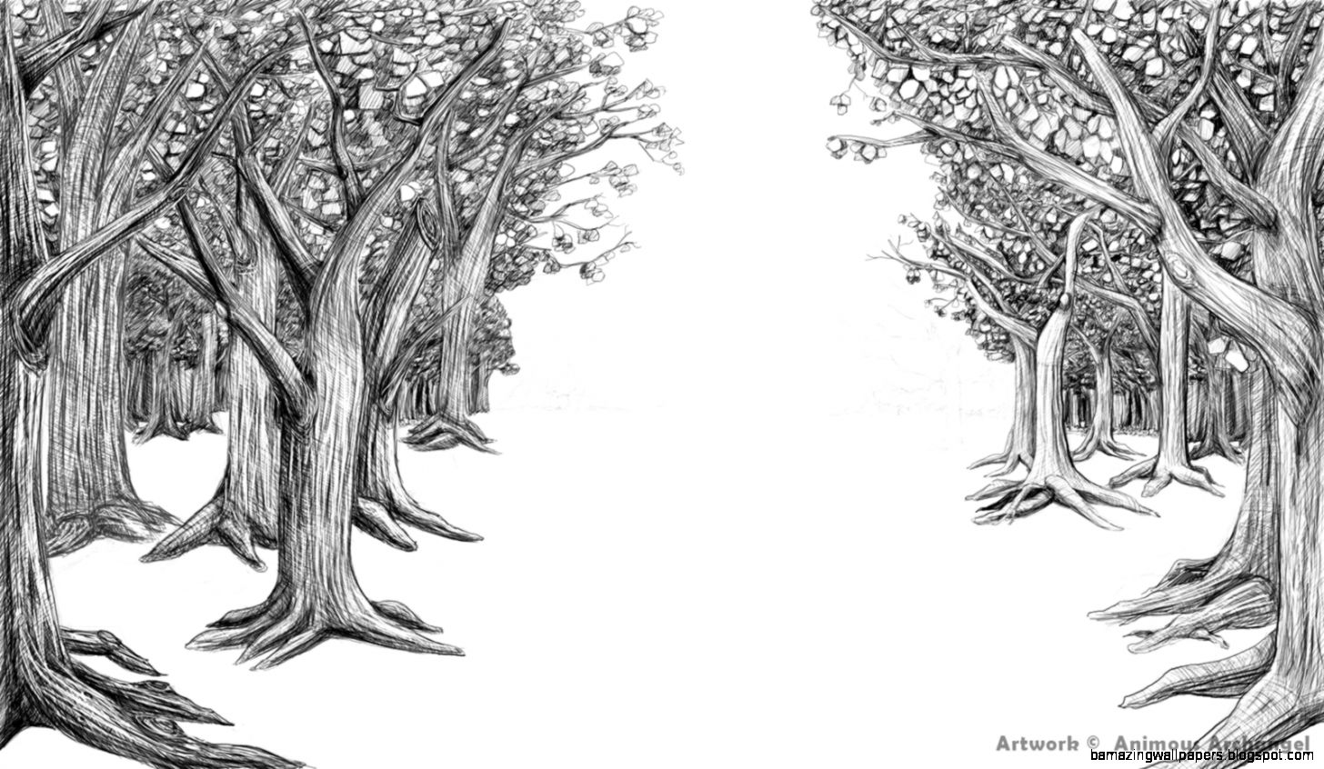 How to Draw a Forest Tree How to Draw a Forest Tree