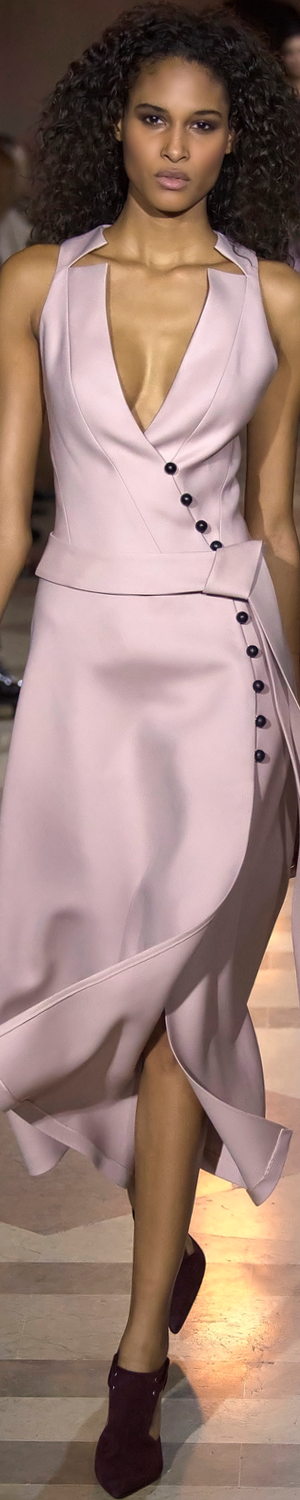 Carolina Herrera Fall/Winter 2016 RTW 