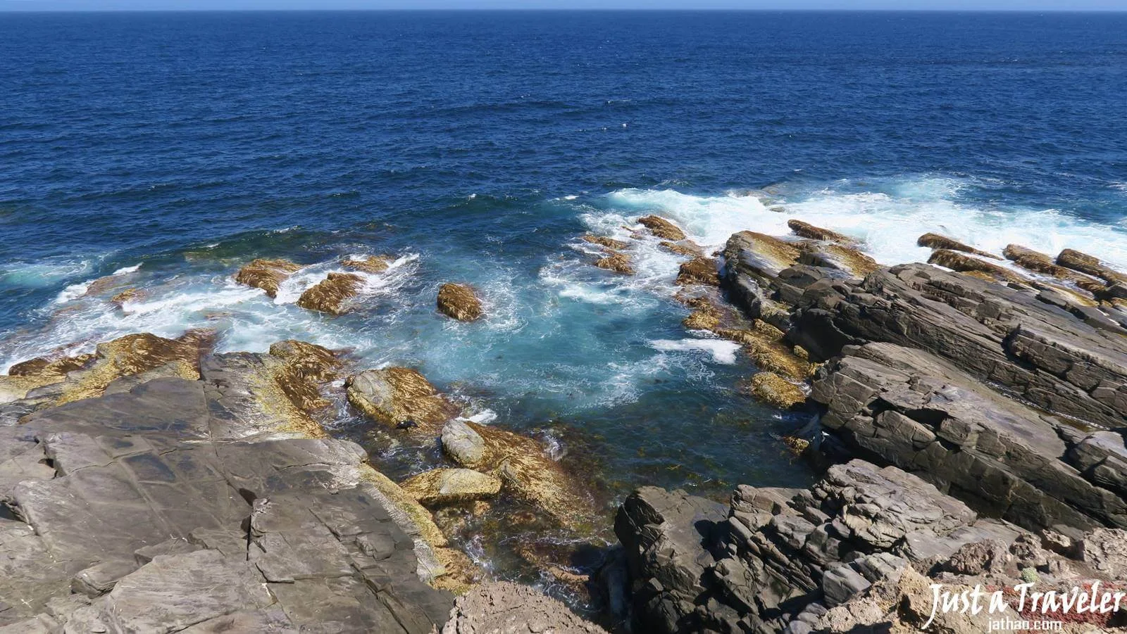 阿德萊德-袋鼠島-Kangaroo-Island-旗艦拱門-Admirals Arch-交通-景點-行程-推薦-遊記-自由行-旅遊-一日遊-二日遊-Adelaide-阿得雷德