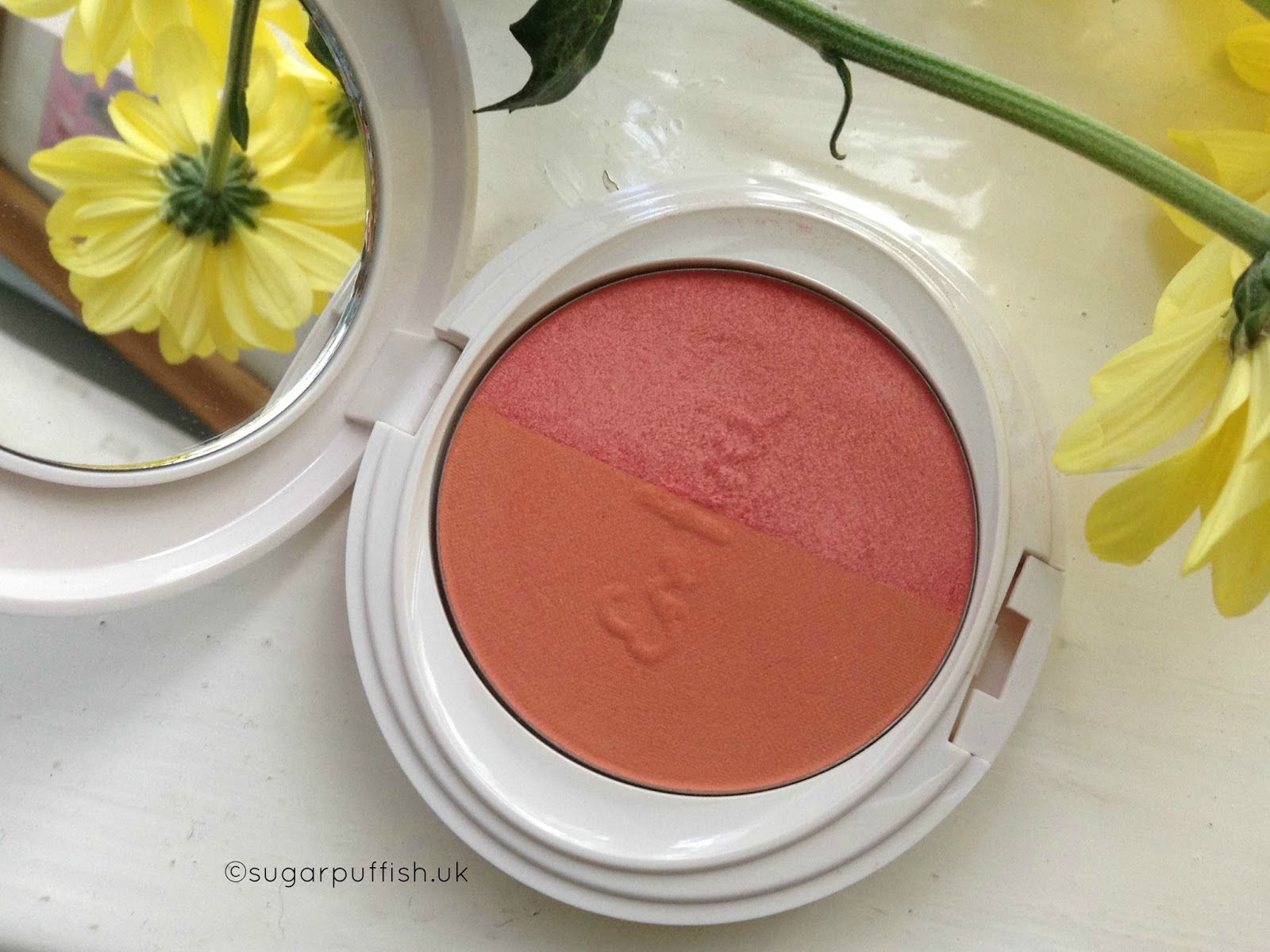 Review Ere Perez Natural Cosmetics Pure Rice Powder Bondi Blush