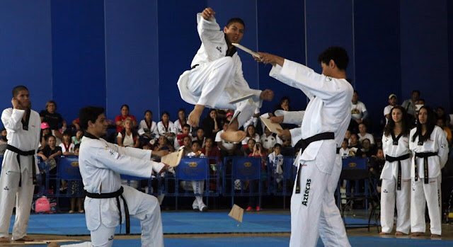 Todo un éxito el 1er. Campeonato Abierto de Taekwondo 2017