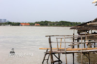 pulau cangkir kronjo tangerang