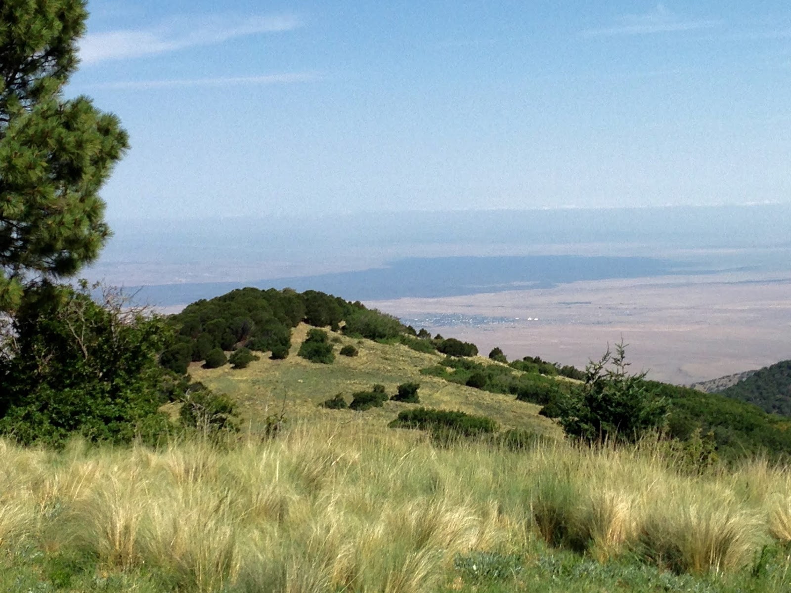 Southern New Mexico Explorer Nogal Canyon Trail ( FT 48) White