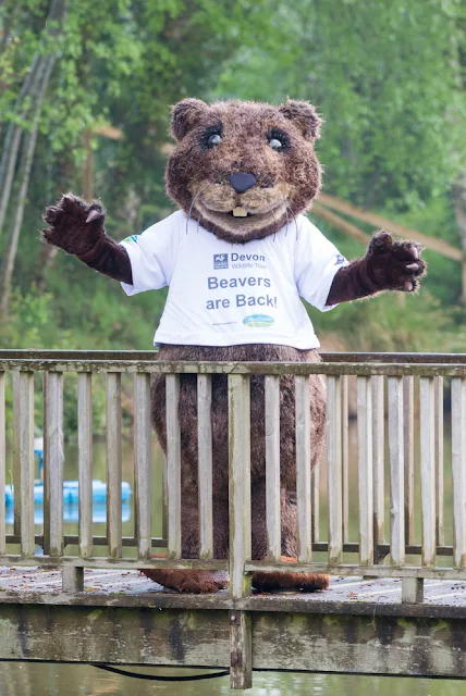 Devon Wildlife Trust - Nora makes an appearance at a recent Cofton Country Holidays event