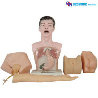 Jual Manikin Training Alat Demo Sekolah Perawatan Manikin Training Alat Demo Sekolah Perawatan