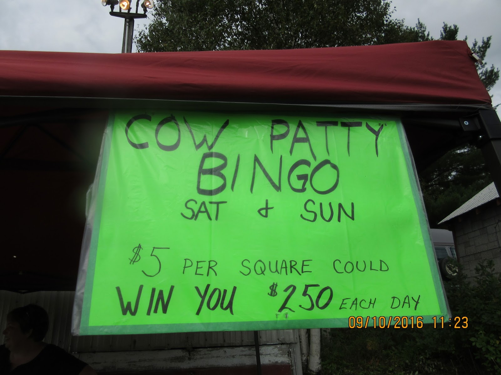 northernbliss: BRUCE MINES FALL FAIR