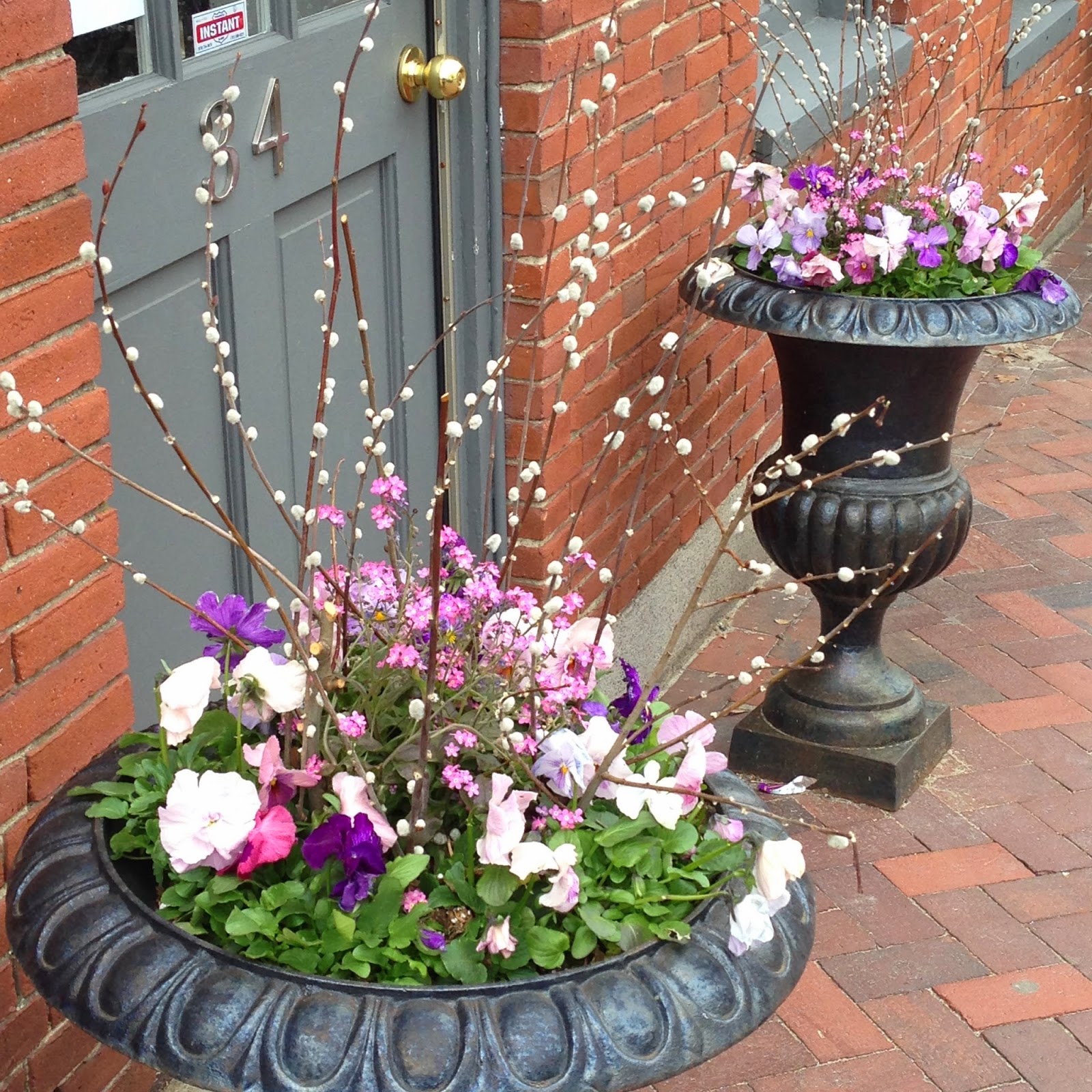 DesignsandEvents Window Boxes of Newburyport