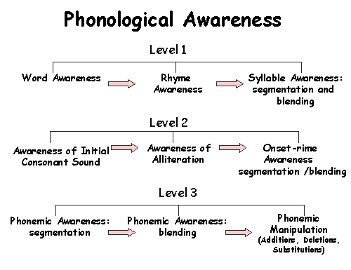 pathology outline #11