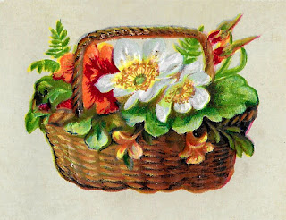 flower rose basket image botanical artwork illustration vintage