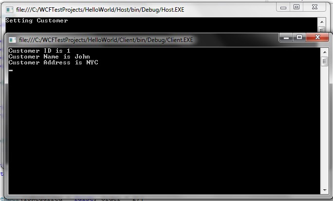 I Love Microsoft: WCF Versioning