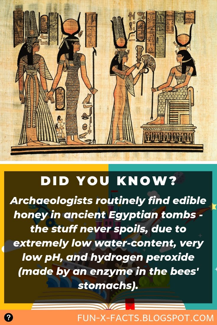 Archaeologists routinely find edible honey in ancient Egyptian tombs