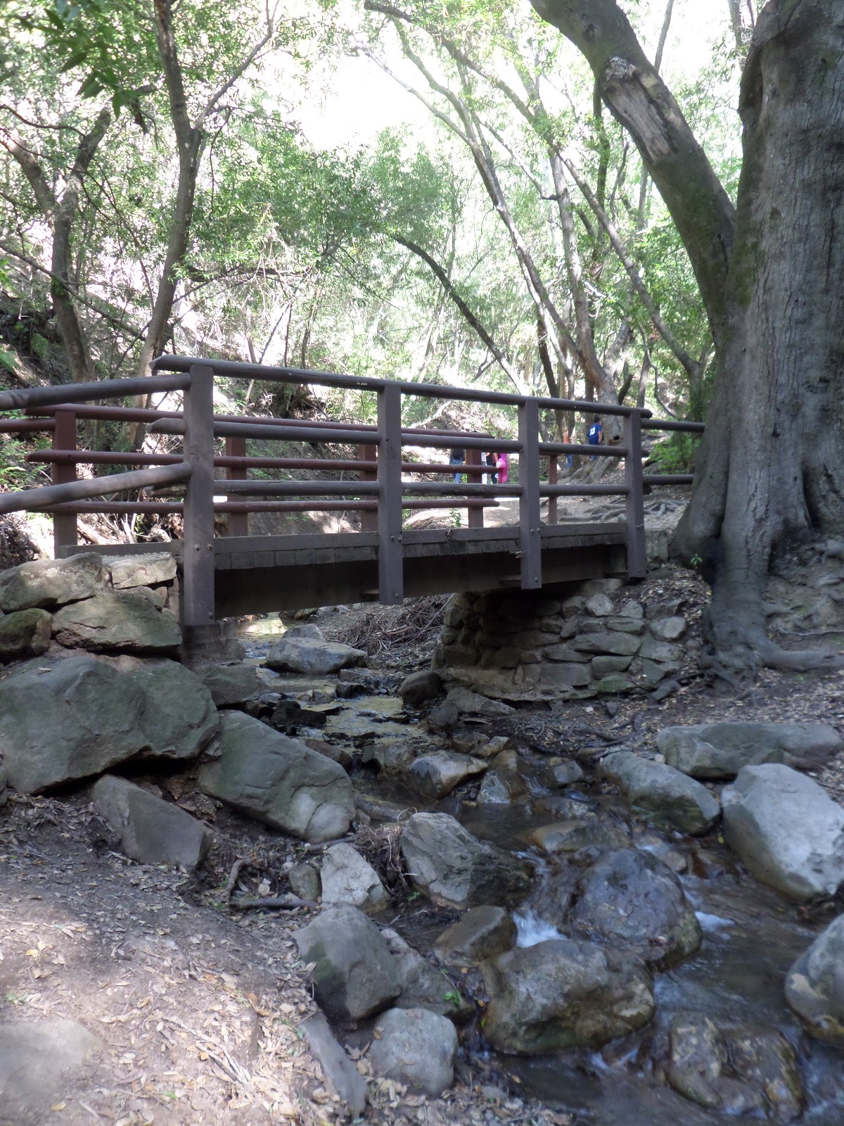 Little Patch of Earth Kid Friendly Hikes and Nature Walks