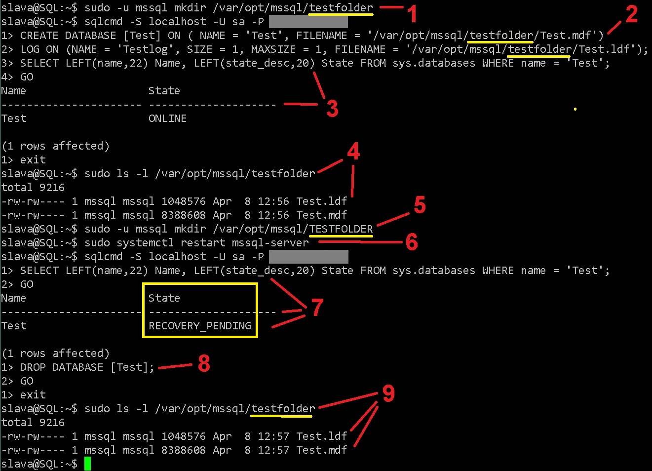 First Class Info About How To Start Sql On Linux - Postmary11