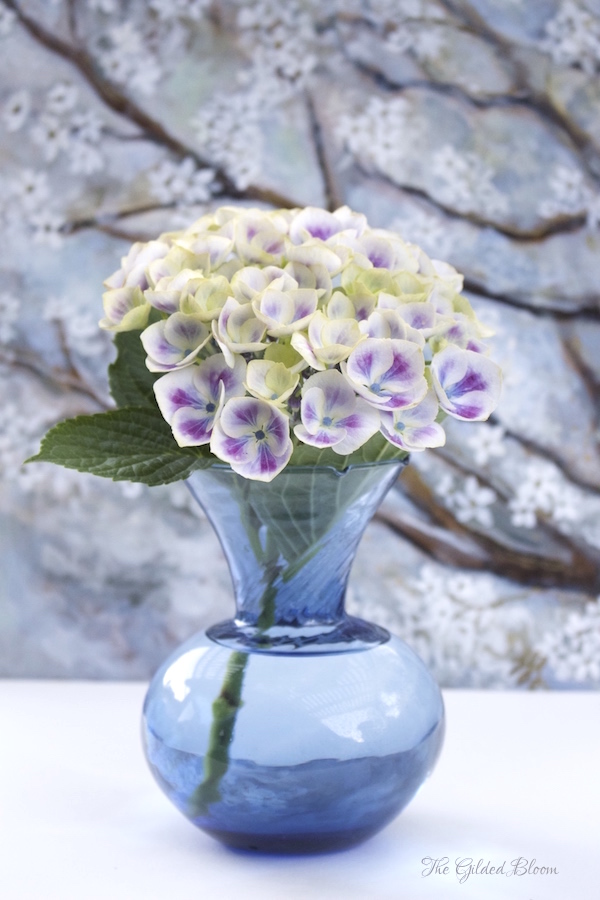 Borrowed Heaven How To Save Wilting Hydrangeas