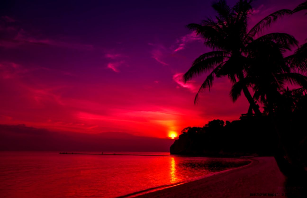 Purple Sunset wallpaper  1440x900  75576