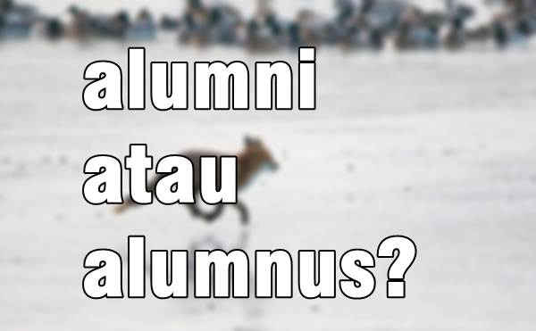 Alumni Atau Alumnus Yang Benar Adalah Kata Baku