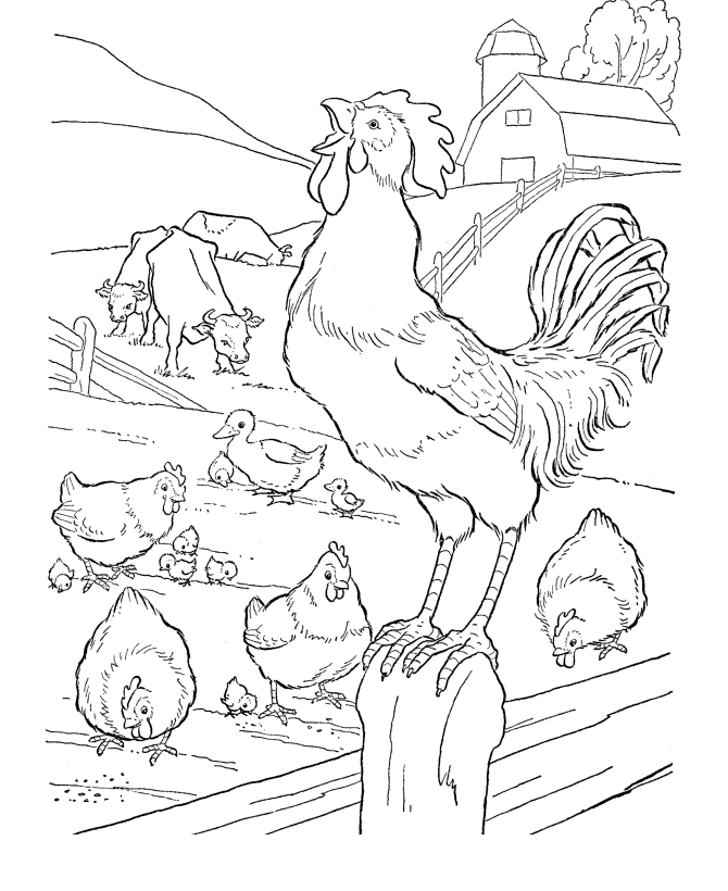 Desenhos De Animais Da Fazenda Para Colorir Para Colorir