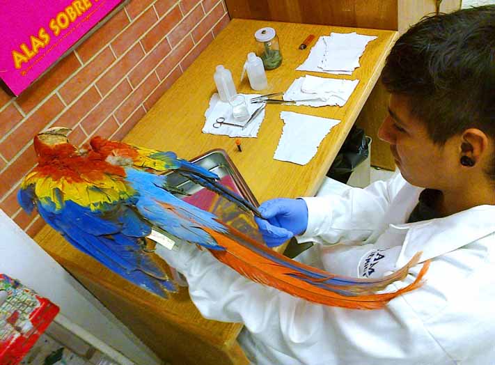 Proyecto Codigo De Barras De La Vida bwp-mex.blogspot.com