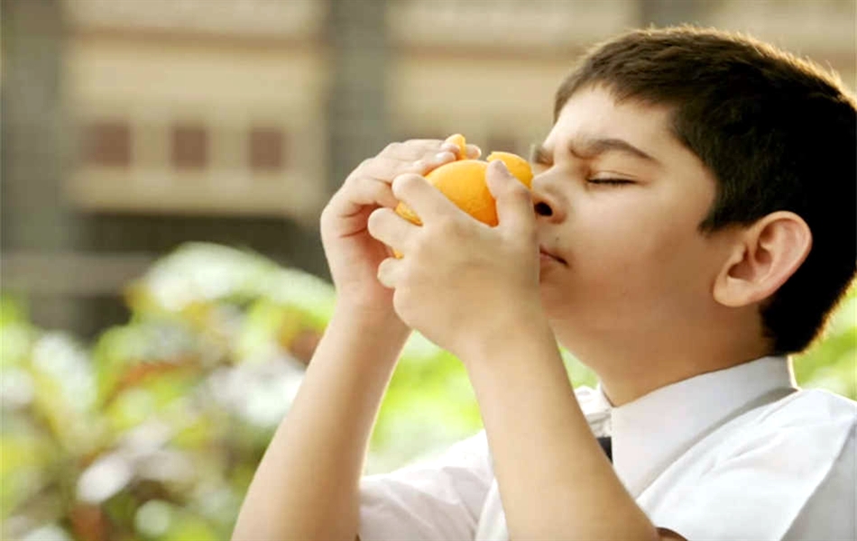 Sniff Box Office, Budget, Hit or Flop, Predictions, Posters, Cast