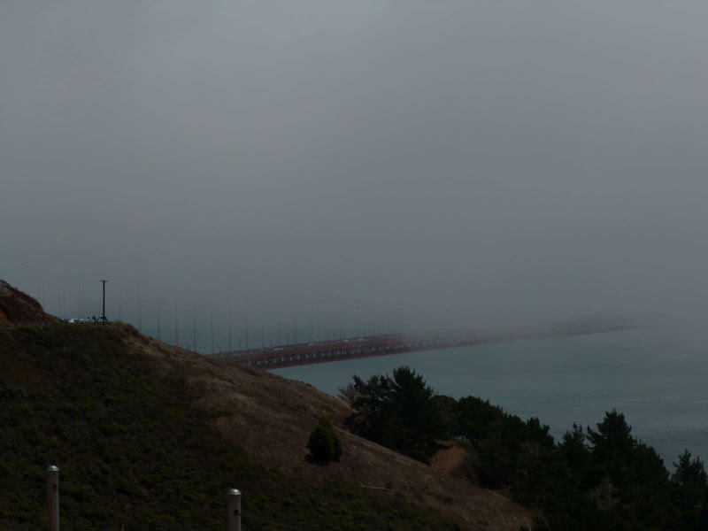 11: Muir Woods - Golden Gate - Driving me ... USA (10)