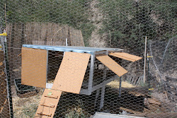 chicken coop wire electric fence inside garden mobile predator enclosure edible strands prevention