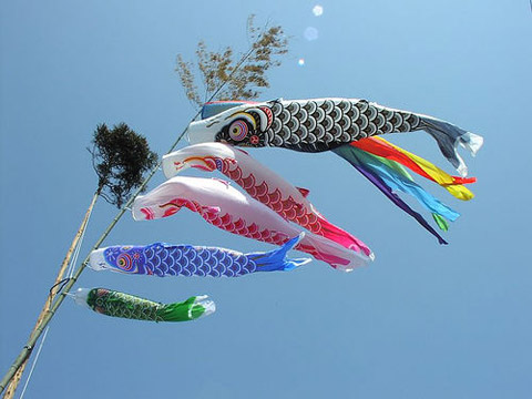 Koinobori ~ My World