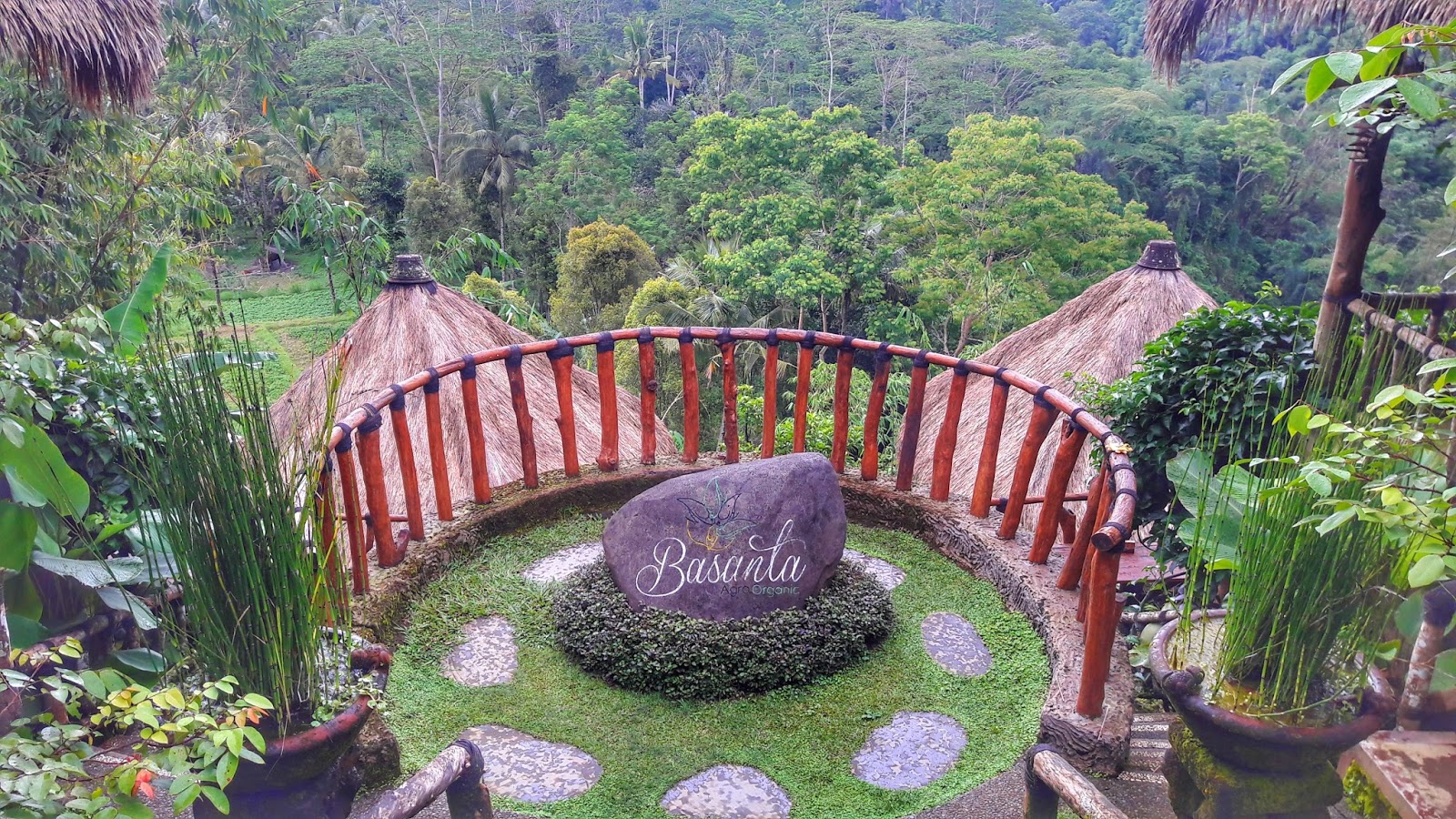 Image result for basanta bali