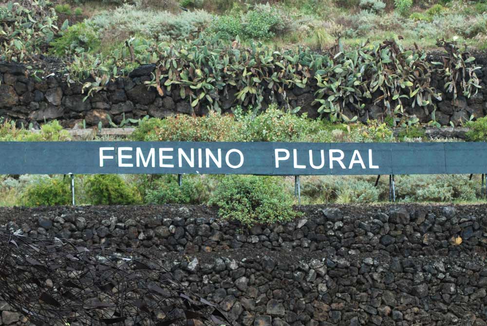 A N O N I M A N FEMENINO PLURAL