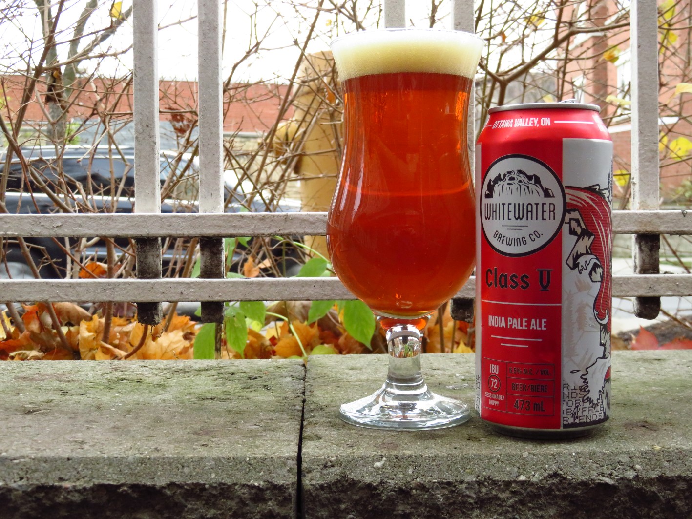 The World of Gord Beer of the Week Whitewater Brewing Class V IPA