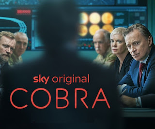 Cobra (2020) Temporada 1 audio español Cobra (2020) Temporada 1 audio español