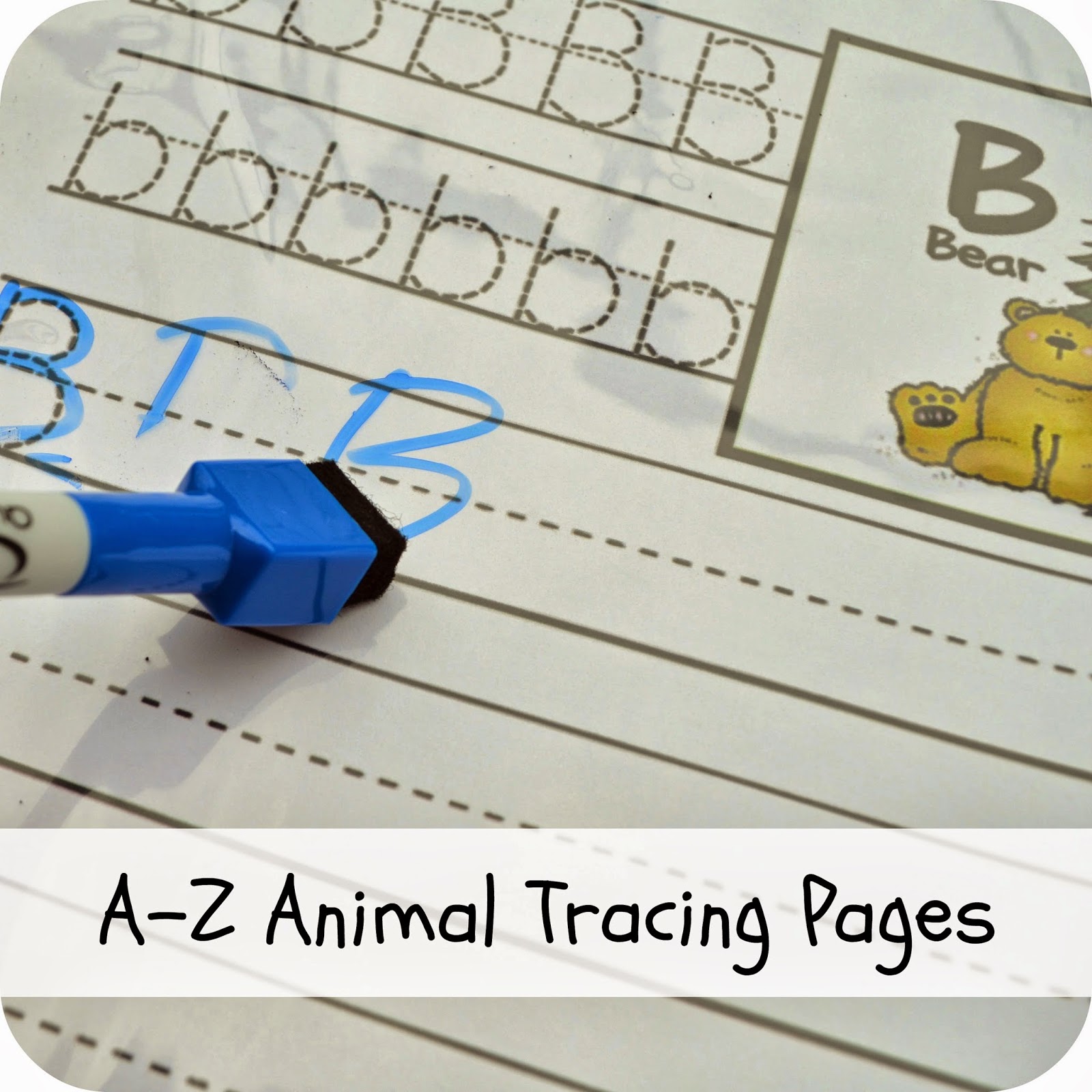 A-Z Animal Tracing Pages