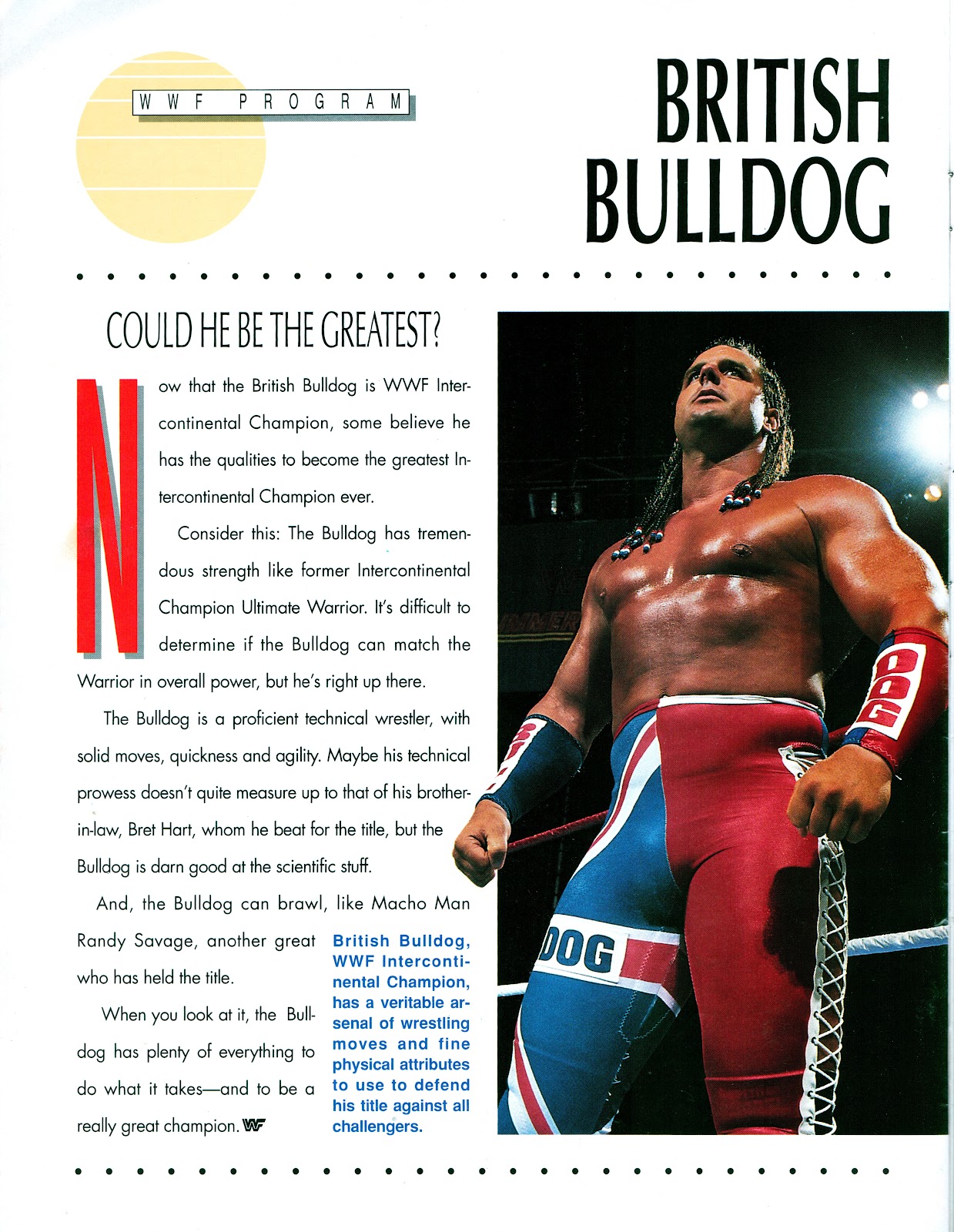 Cracked Magazine and Others: WWF Magazine Volume 207 (1992)