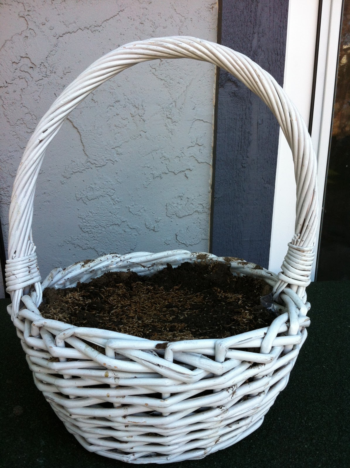 hummingbird hype Easter Basket with real grass and real bunny