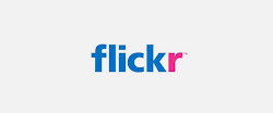 my flickr