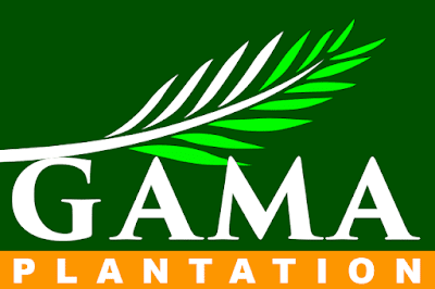 Lowongan Kerja GAMA Plantation 2019 - LOWONGAN KERJA KALIMANTAN TIMUR