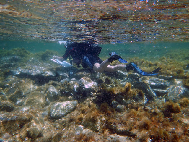 Seven shipwrecks located off the shores of the Greek island of Delos