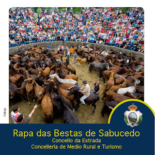 Propostas para a fin de semana 1,2 e 3 de Xullo: Rapa das Bestas Sabucedo (A Estrada)