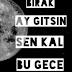 Ahmet Kaya - Birak Ay Gitsin Sen kal bu gece
