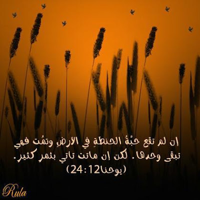 وجبـــــــة روحيـــــ(†)ــــــــــة يوميـــــــــة