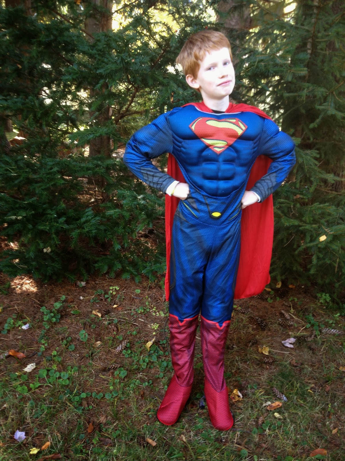 be blessed!: Review: Superman Costumes at Costume Discounters