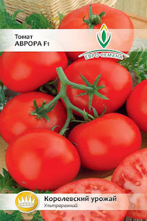 лучшие низкорослые томаты для теплицы