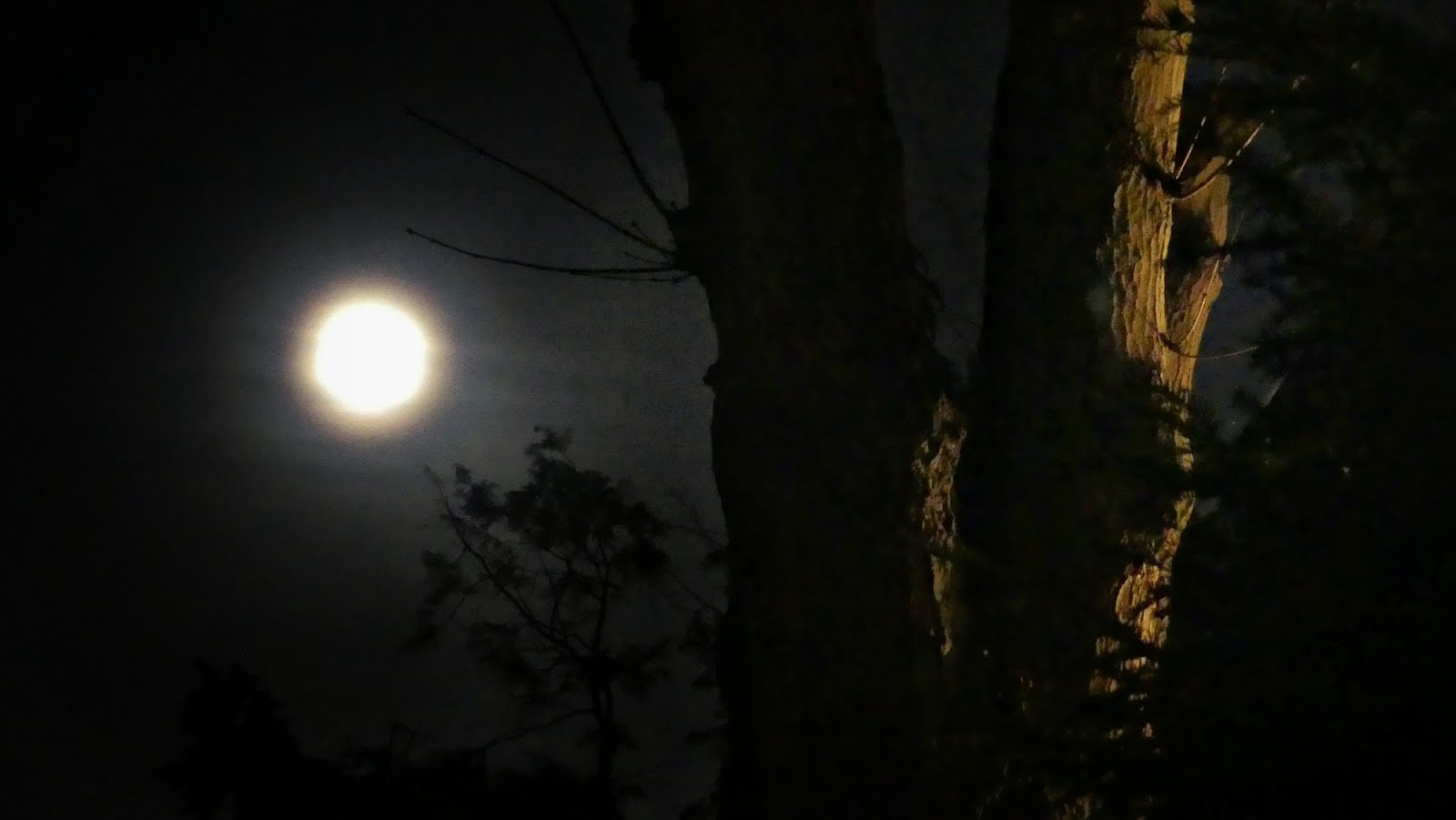 Absagen Ansagen Aktuelles Rund Um Corona Rheiderland Zeitung