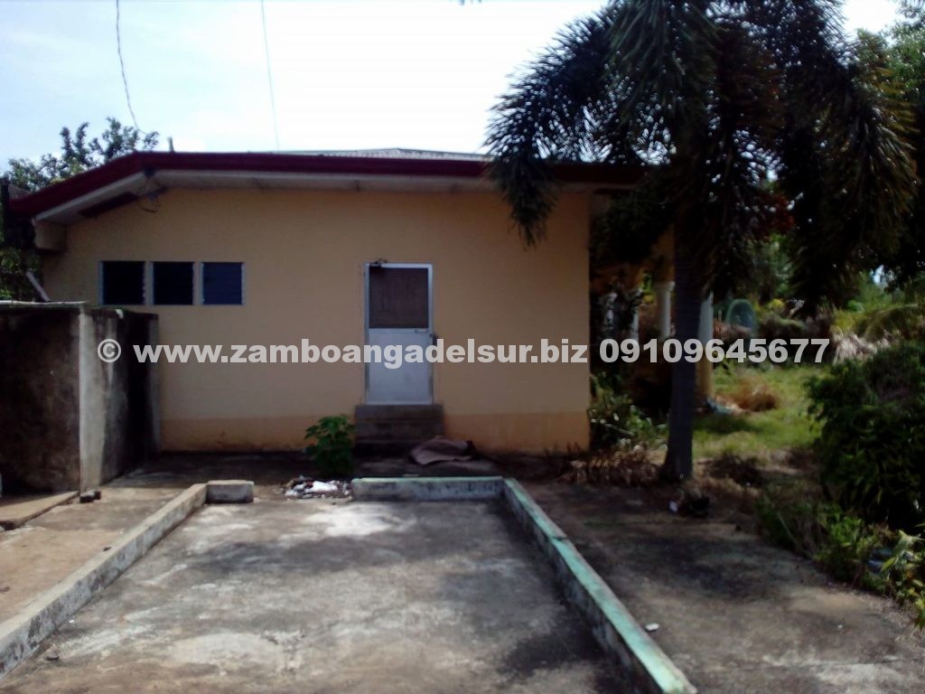 Zamboanga del Sur Properties FOR SALE HOUSE AND LOT AT PAGADIAN CITY